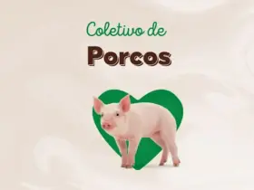 Historia de Instagram Dia Mundial del Veganismo Moderno Verde
