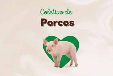 Coletivo de Porcos: Descubra Como Se Chamam e Como Eles Comportam-se em Grupo 18 Historia de Instagram Dia Mundial del Veganismo Moderno Verde
