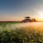 fungicida sistemico Bayer