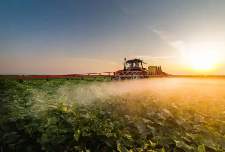 fungicida sistemico Bayer