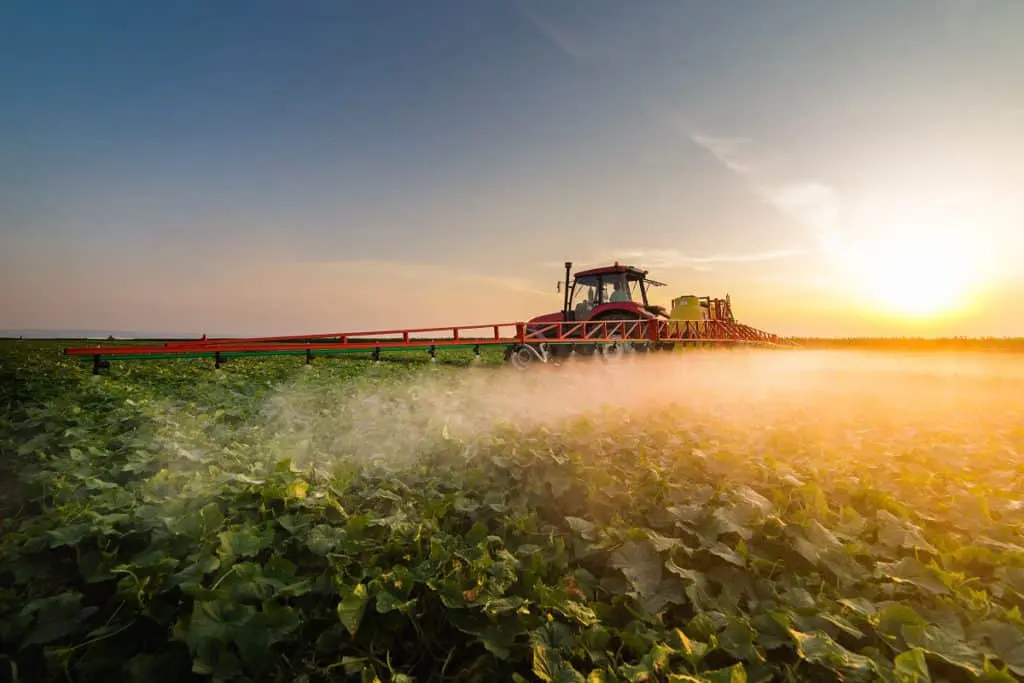 fungicida sistemico Bayer